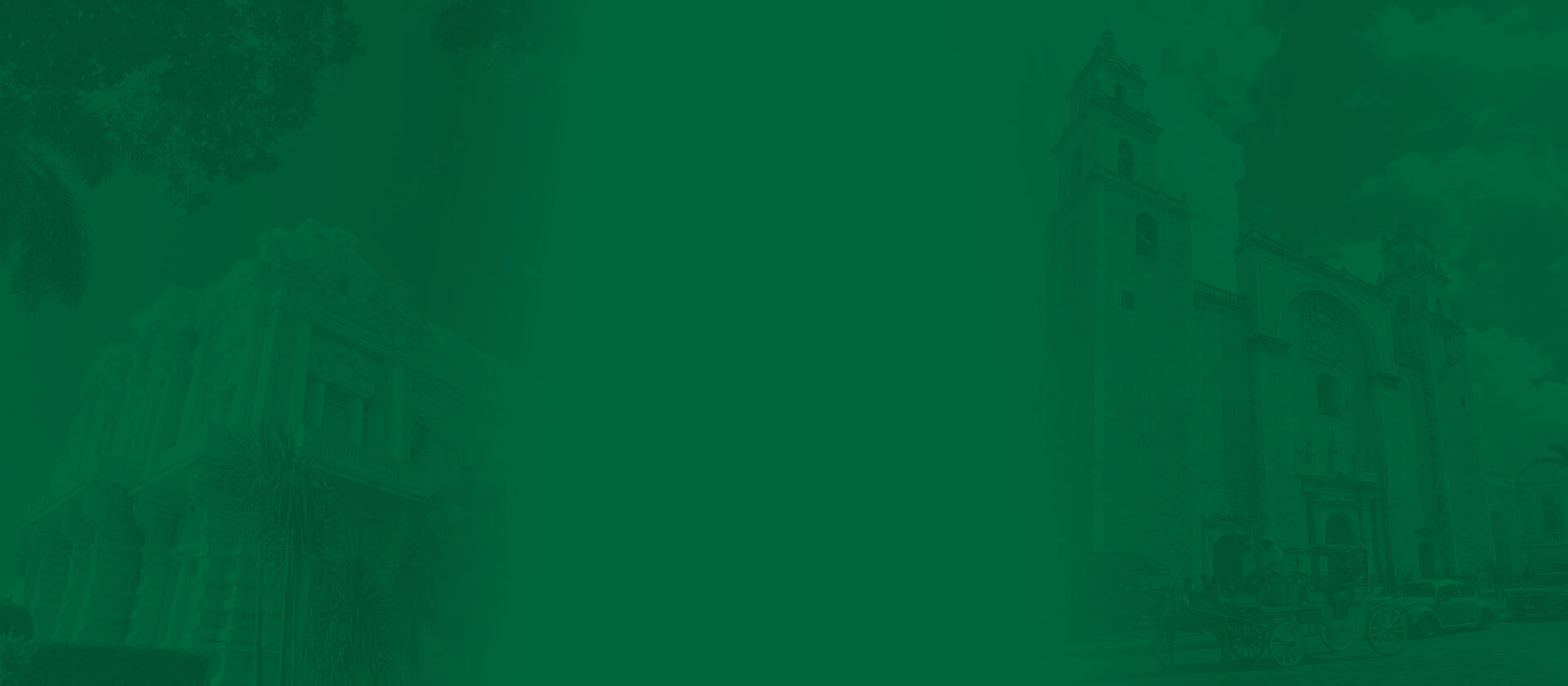 imagen-fondo-verde