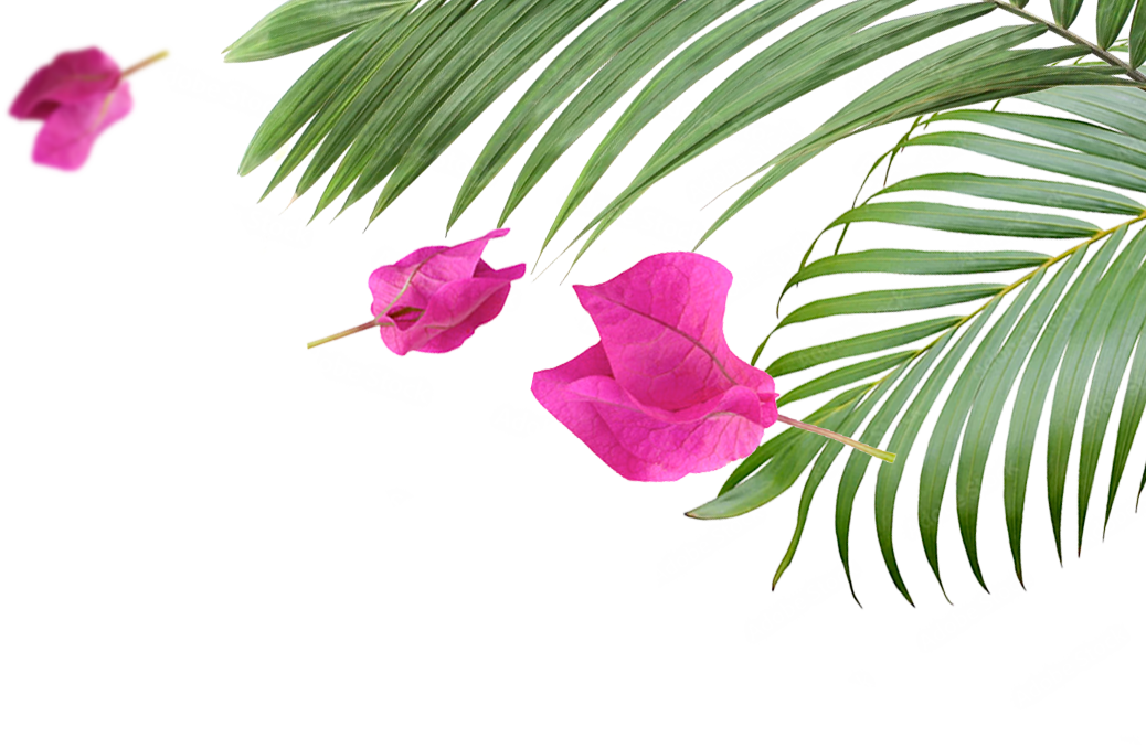 flores